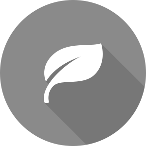 Bio Καύσιμα